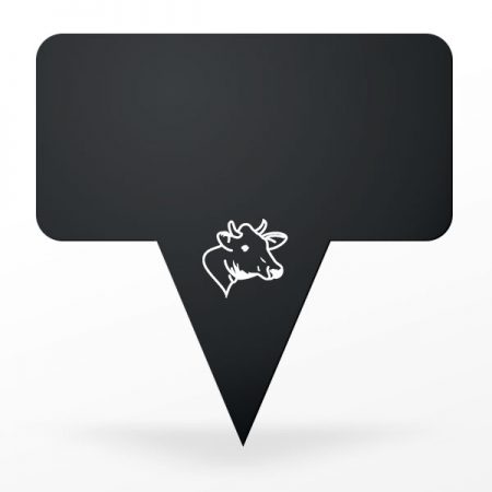 Visuel pic noir avec tête de vache